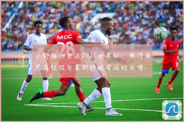 小舒梅切尔谈2026世界杯：佛得角黑马征程与莱斯特城奇迹的共鸣，丹麦门将分享心路历程